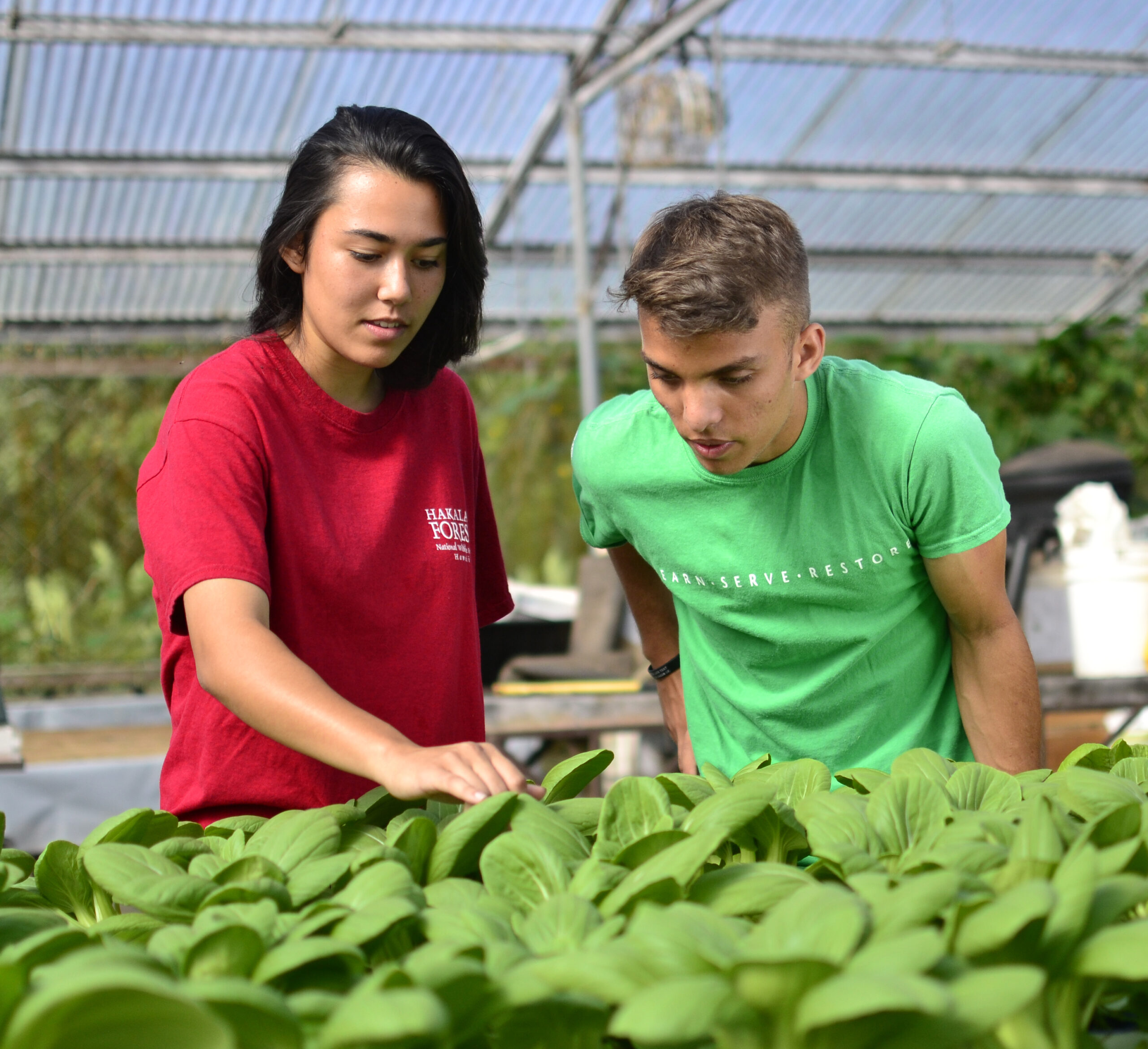 Two students looking at plants in a greenhouse.